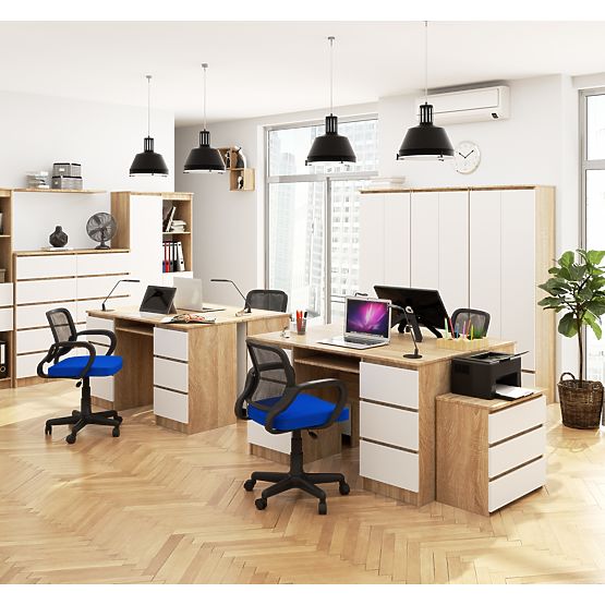 BIROU A-11 CLP 6SZ PK SONOMA / ALB