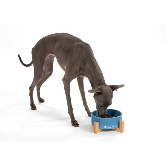 Bol ceramic pentru câine sau pisică albastru PJ-033