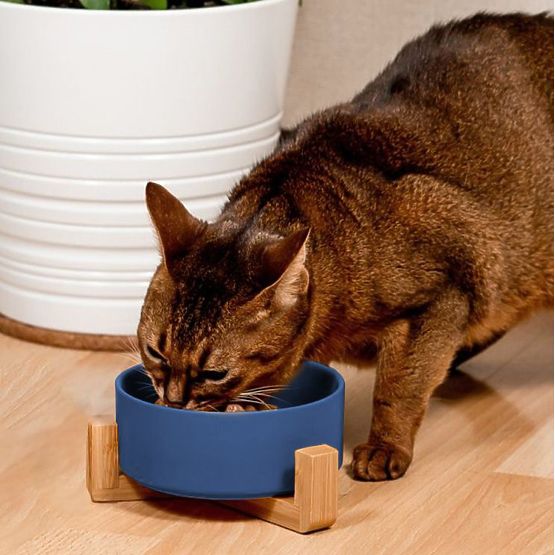 Bol ceramic pentru câine sau pisică albastru PJ-033