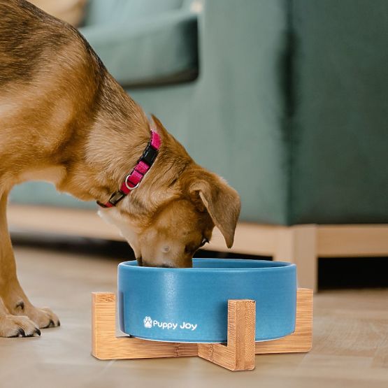 Bol ceramic pentru câine sau pisică albastru PJ-033