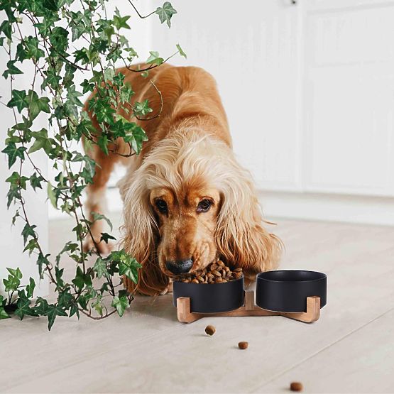 BOL CU SUPORT PENTRU HRANĂ ȘI APĂ PENTRU ANIMALE NEGRU 331579
