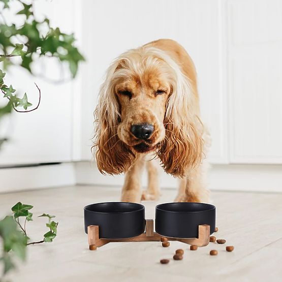BOL CU SUPORT PENTRU HRANĂ ȘI APĂ PENTRU ANIMALE NEGRU 331579