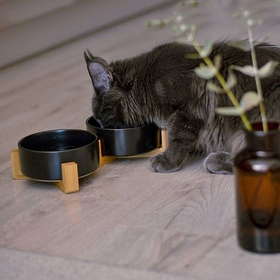 BOL CU SUPORT PENTRU HRANĂ ȘI APĂ PENTRU ANIMALE NEGRU 331579