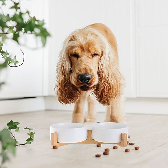 BOL DE HRANĂ ȘI APĂ PENTRU ANIMALE ALB 331579