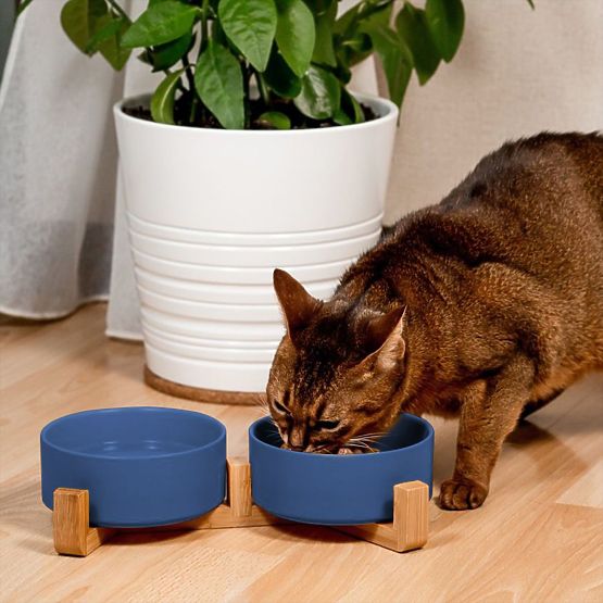 Boluri Ceramice pentru Câine sau Pisică Albastre PJ-080