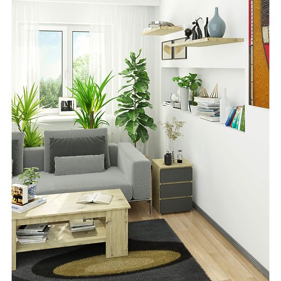 COMODĂ CL3/40 PK STEJAR ARTISAN / GRI