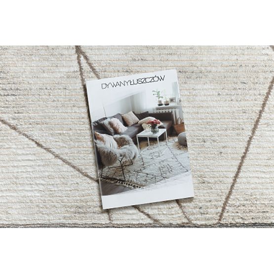 Covor BLISS Z201Z128 crem / bej - Cadru, geometric, modern, structural