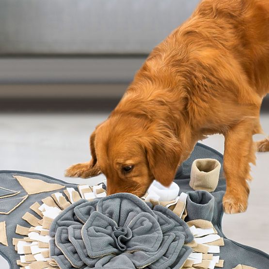 COVORAȘ DE MIROS PENTRU CÂINI PJ-028