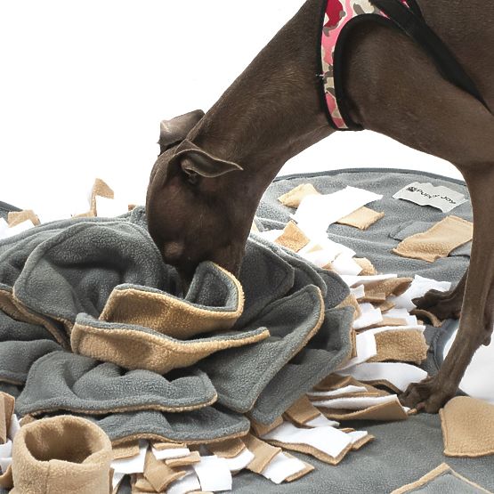 COVORAȘ DE MIROS PENTRU CÂINI PJ-028