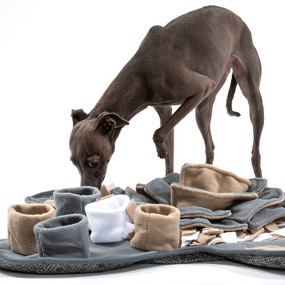 COVORAȘ DE MIROS PENTRU CÂINI PJ-028