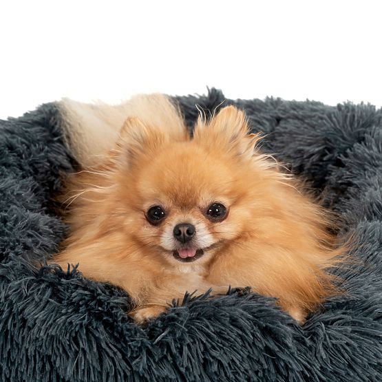 CUIB PENTRU CÂINE PISICĂ PJ-005 GRI ÎNCHIS XL