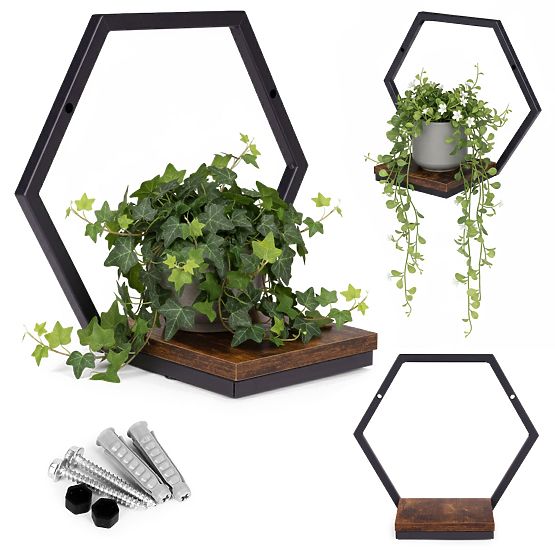 Ghiveci de perete, raft suspendat pentru flori, decor loft hexagon ModernHome