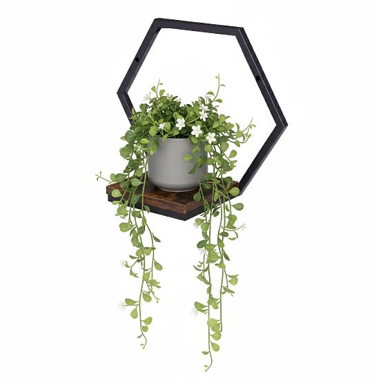 Ghiveci de perete, raft suspendat pentru flori, decor loft hexagon ModernHome