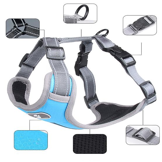 Ham pentru câini ASTRO albastru mărimea M