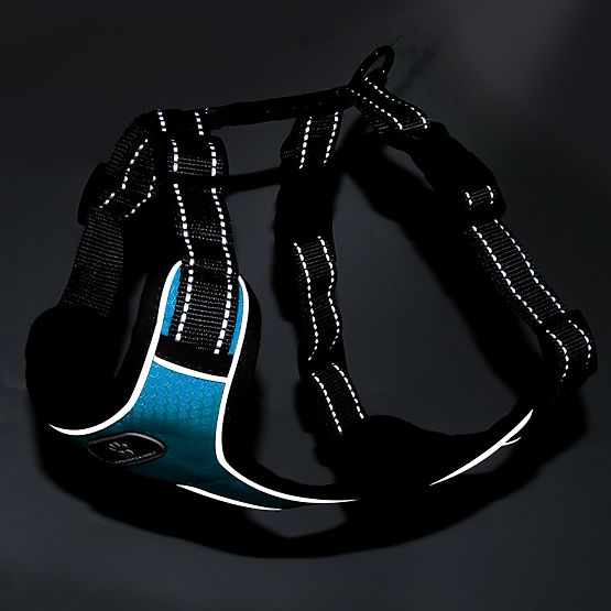 Ham pentru câini ASTRO albastru mărimea M