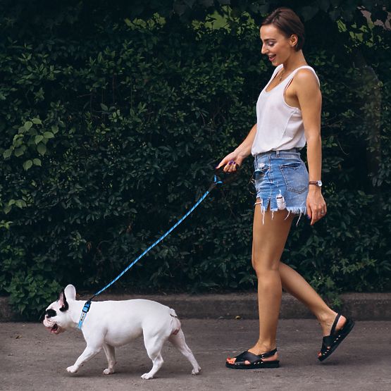 Lesă reflectorizantă și zgardă pentru câine PJ-037 albastră