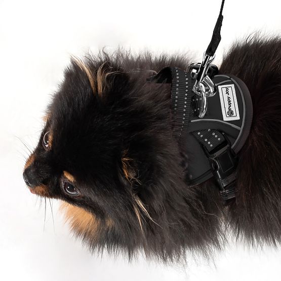 Lesă și ham pentru câine PJ-047 negru XS