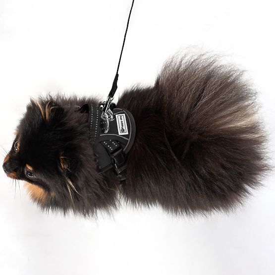 Lesă și ham pentru câine PJ-047 negru XS