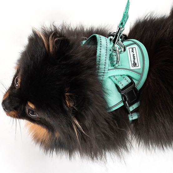 Lesă și ham pentru câine PJ-049 verde XS