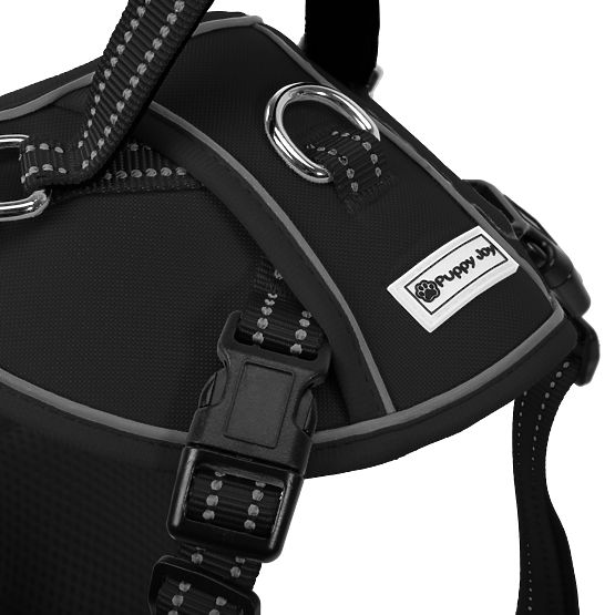 Lesă și ham pentru câine PJ-055 negru M