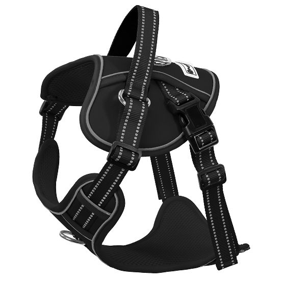 Lesă și ham pentru câine PJ-059 negru L