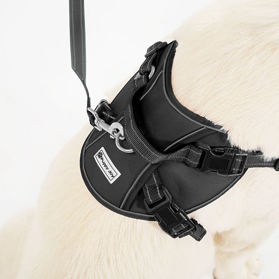 Lesă și ham pentru câine PJ-063 negru XL