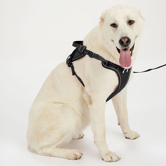 Lesă și ham pentru câine PJ-063 negru XL