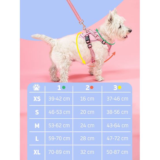 Lesă și ham pentru câine PJ-066 albastru XL