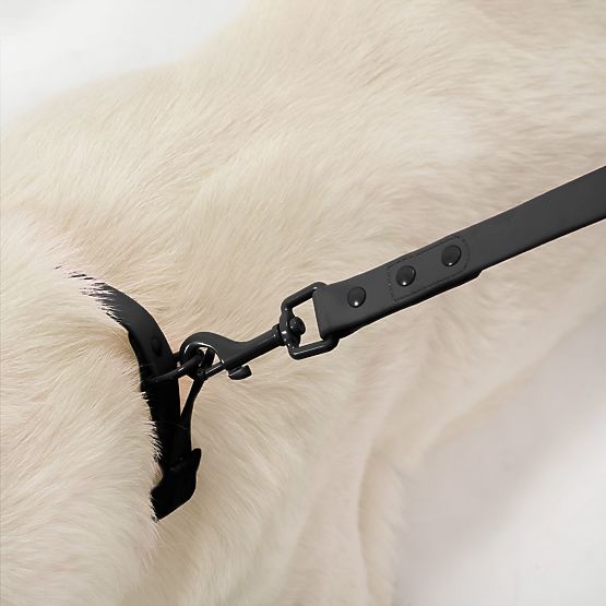 Lesă și zgardă pentru câine PJ-071 negru M