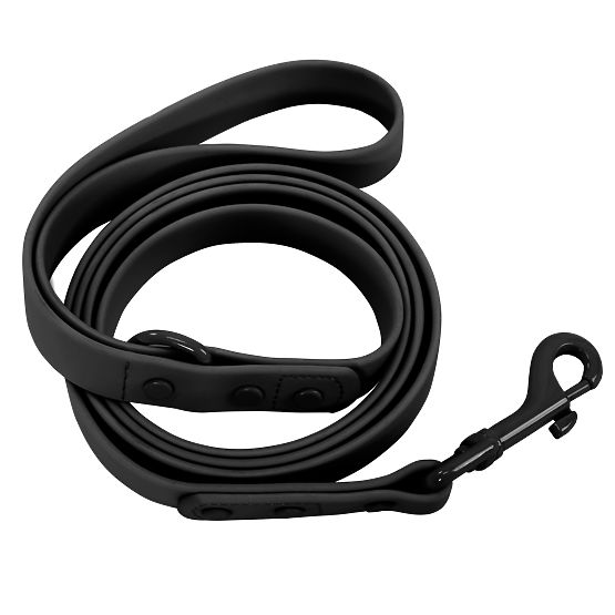 Lesă și zgardă pentru câine PJ-071 negru M