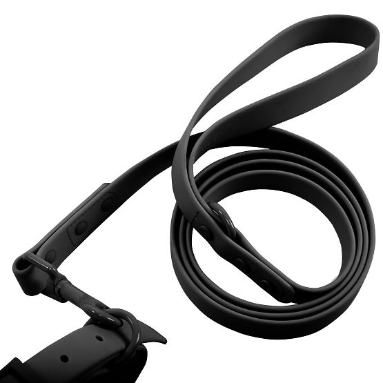 Lesă și zgardă pentru câine PJ-075 negru L