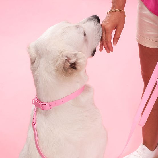 Lesă și zgardă pentru câine PJ-076 roz L