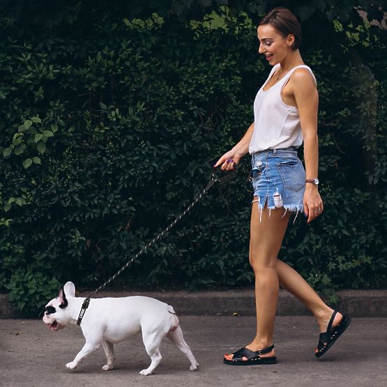 Lesă și zgardă reflectorizantă pentru câine PJ-091 negru