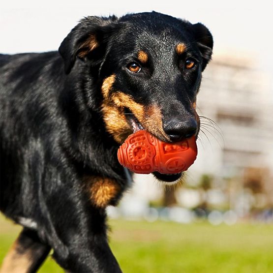 Minge roșie de mestecat pentru câini PJ-046