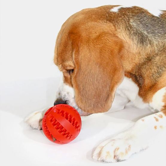 Minge roșie de mestecat pentru câini PJ-090