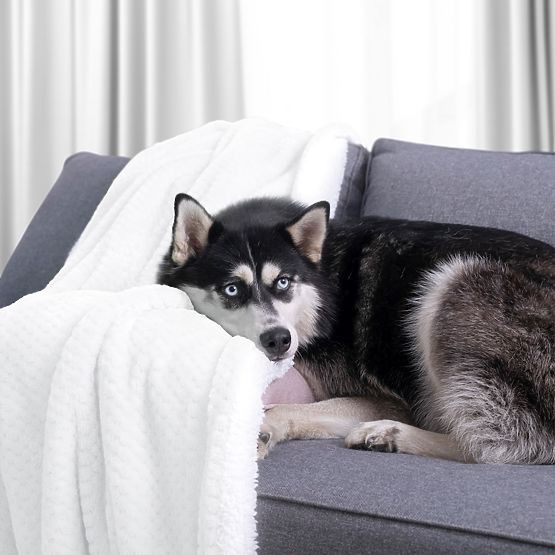 Pătură SHLEEPY culoare albă cu model jacquard stil clasic 130x180