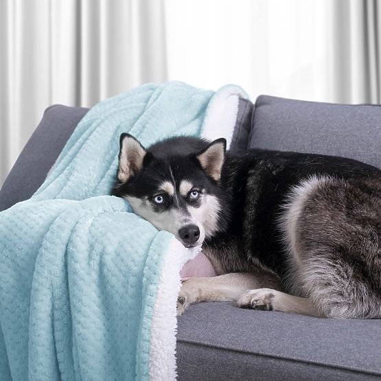 Pătură SHLEEPY culoare albastru deschis model jacquard stil clasic 70x150