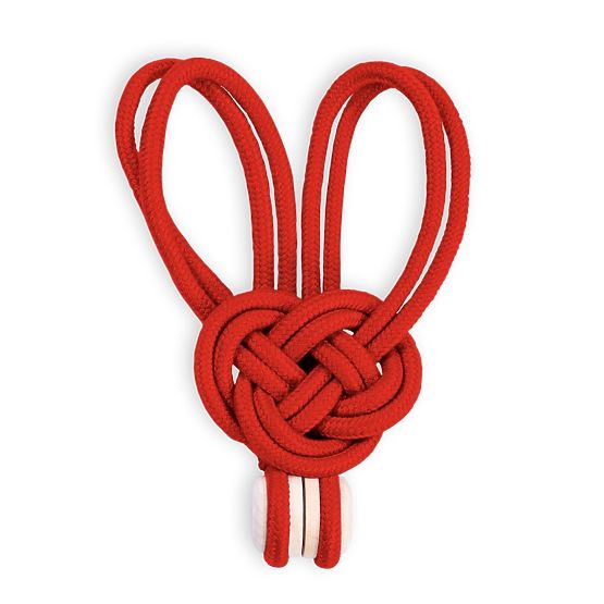 Perdele - accesorii EDMONTON culoare roșie ameliahome