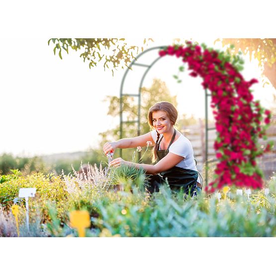 Pergolă metalică arc negru 240 cm