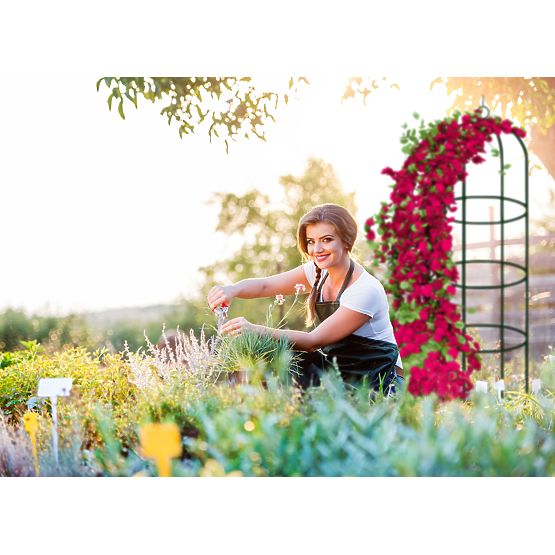 Pergolă metalică stâlp verde închis 190 cm