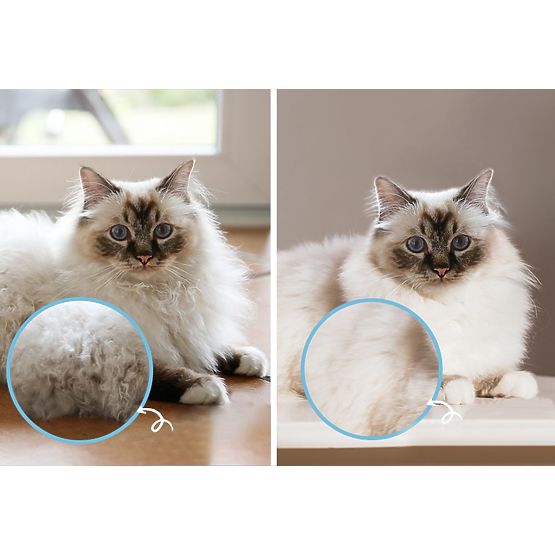 Pieptene - perie profesională anti-încâlcire PJ-040