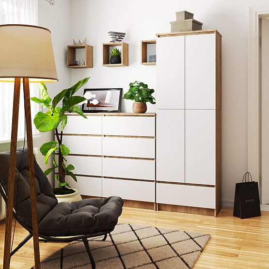 RAFT ÎNCHIS R60 2D 1SZ CLP PK STEJAR SONOMA / ALB