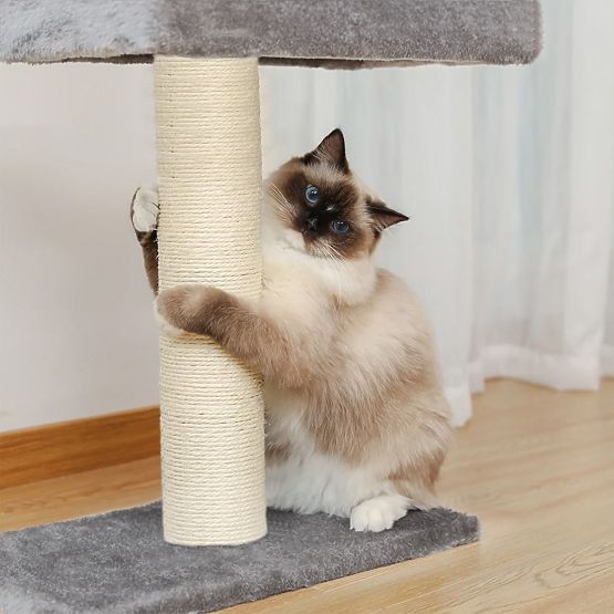 SCRATCHER DE TAVAN PENTRU PISICI GRI P70374