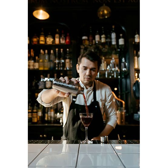 Set barman LOGAN cu 11 piese și cutie