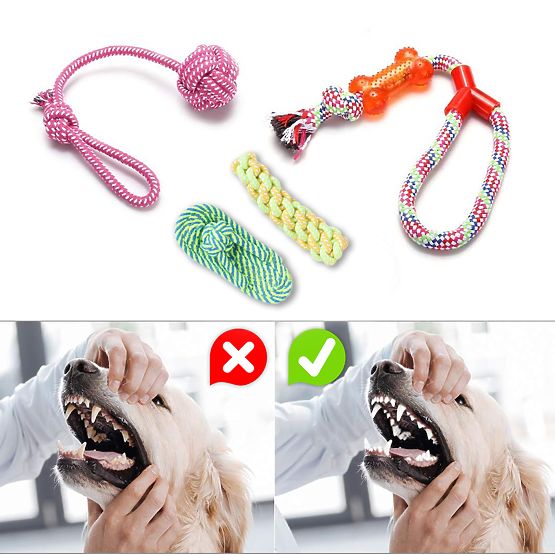 Set de 10 jucării pentru câini DYLAN frânghii de tras