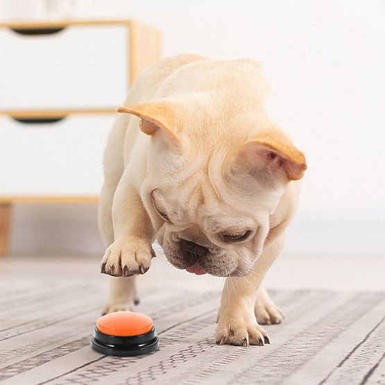 Set de 4 butoane de comunicare pentru câini TALKER