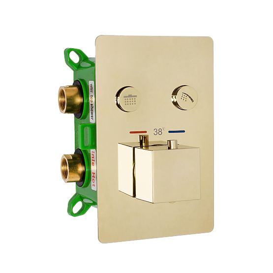 Set de duș încastrat cu termostat FENIX DAVIS Auriu + BOX