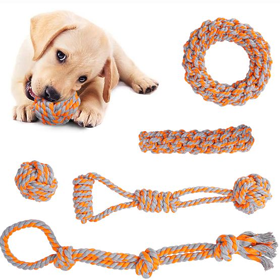 Set de jucării de tras pentru câini SPANKY 5 bucăți