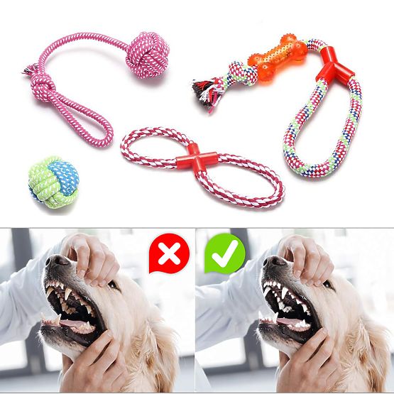 Set de jucării de tras pentru câini SPANKY 5 bucăți