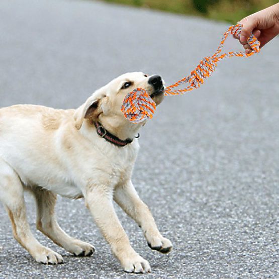 Set de jucării de tras pentru câini SPANKY 5 bucăți